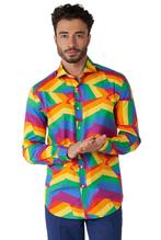 Zig Zag Regenboog Overhemd Heren OppoSuits, Kleding | Heren, Carnavalskleding en Feestkleding, Nieuw, Verzenden