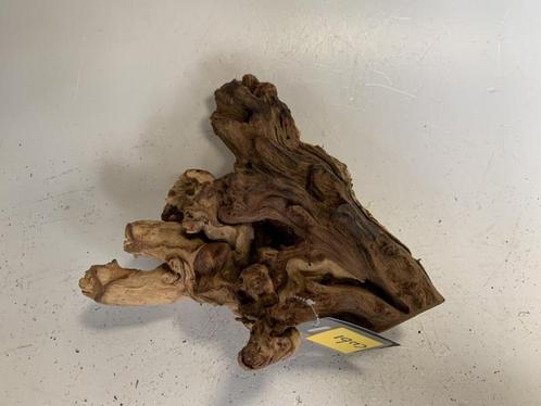 Coral Wood Selected CW61 - 30x12x28cm (Natuurlijk hout), Dieren en Toebehoren, Vissen | Aquaria en Toebehoren, Plant(en), Steen of Hout