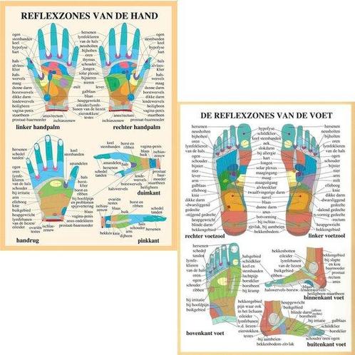 Anatomie posters hand- en voetreflexologie (Nederlands, g..., Sport en Fitness, Overige Sport en Fitness, Verzenden