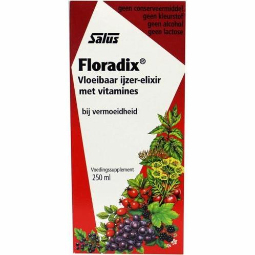 Floradix Vloeibaar Ijzer-Elixer met Vitamines 250 ml, Diversen, Verpleegmiddelen, Nieuw, Verzenden