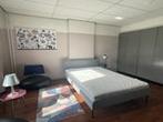 Studio Alexander Battalaan in Maastricht, Overige soorten, Limburg
