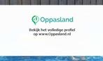 Jessye zoekt een oppas in Haarlem voor 2 kinderen op vrij...