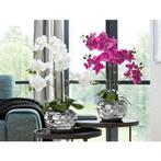Creativ green Kunstplant Orchidee (1 stuk), Huis en Inrichting, Verzenden, Nieuw