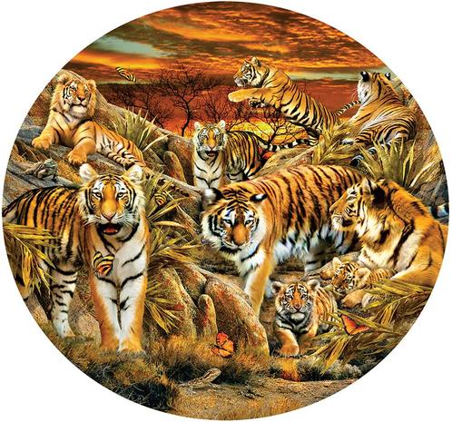 Lori Schory Tigers Galore Puzzel (500 XXL stukjes) | SunsOut, Hobby en Vrije tijd, Denksport en Puzzels, Nieuw, Verzenden