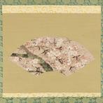 Fan Surface - Cherry Blossom with Original Box (Tomobako) -