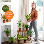 Kopieer - Kopieer - Plantjesbox uit het Westland – €39,95, Huis en Inrichting, Verzenden, Overige soorten, Halfschaduw, Minder dan 100 cm