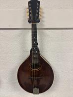 Gibson A mandoline ca. 1919 vintage, Ophalen, Gebruikt