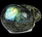 414 g 8,30 x 6,90 cm AA Labradoriet Magische Skul Enorme, Verzamelen, Mineralen en Fossielen
