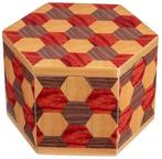 Geheime Puzzeldoos - Honingraat | Philos - Puzzels, Verzenden, Nieuw