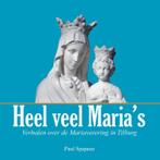 Heel veel Marias / Volkscultuur en Immaterieel Erfgoed / 7, Boeken, Verzenden, Gelezen, Paul Spapens