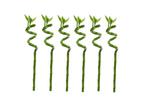 Lucky Bamboo stems - set of 6, Verzenden