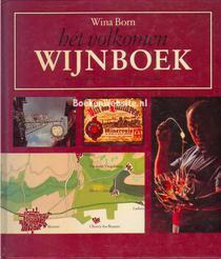 Irische Kunst aus drei Jahrtausenden 9789062010066 Born, Boeken, Overige Boeken, Gelezen, Verzenden