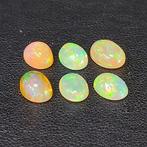 Zonder Minimumprijs - 6 pcs Opaal - 5.69 ct - Antwerp, Nieuw