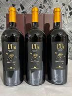 2022 Lungarotti “L’UM” - Umbrië IGT - 3 Magnums (1.5L), Nieuw