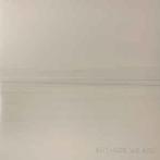 lp nieuw - Foo Fighters - But Here We Are, Cd's en Dvd's, Vinyl | Rock, Verzenden, Zo goed als nieuw