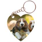 Sleutelhanger hartje 5x5cm - Basset Hounds Lopend op Gras NI, Verzamelen, Ophalen of Verzenden, Nieuw