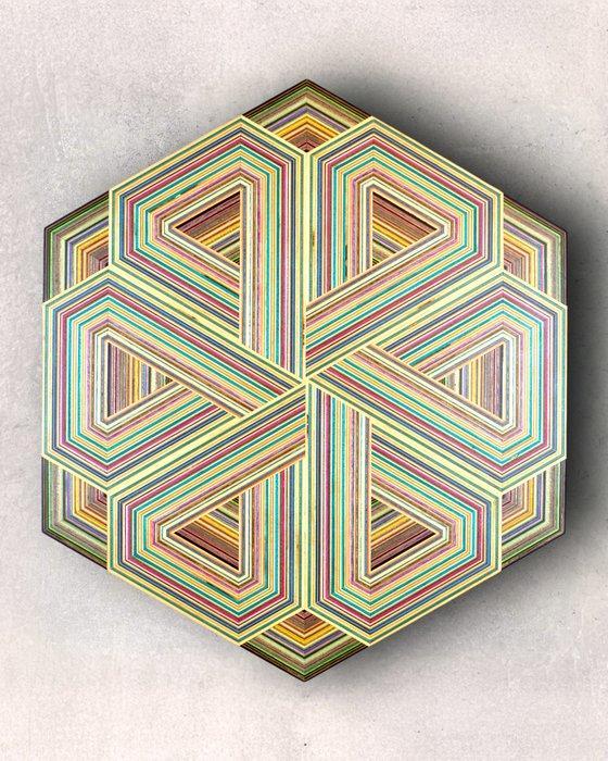 Danilo Nedi - Focused Skateboard Woodworks - Interpretzel, Antiek en Kunst, Kunst | Designobjecten