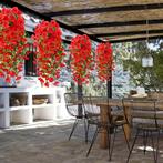 MEGADEAL Realistische Rode Hangende Petunias bloemen, Verzenden, Nieuw