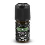 Beauty & Care Dennen etherische olie 20 ml.  new, Ophalen of Verzenden, Nieuw, Aroma