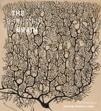 9781419722271 The Beautiful Brain Larry Swanson, Verzenden, Nieuw, Larry Swanson