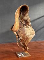 Ben Jansen (XX) - De schoonheid van ijzer en brons