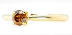 Ring - 18 karaat Geel goud, N.F. Levend Oranje - 0.50ct. tw., Nieuw