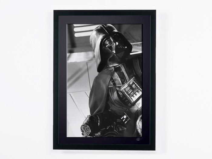 Star Wars - Return of the Jedi - Darth Vader - Fine Art, Verzamelen, Film en Tv