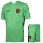 Nederlands Elftal Keeperstenue Groen - Kind en Volwassenen, Verzenden, Nieuw