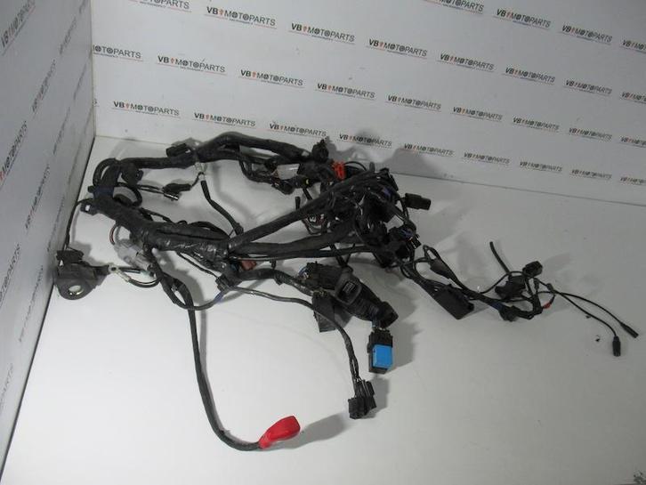 Triumph Tiger Explorer 1200 Kabelboom, Motoren, Accessoires | Overige, Ophalen of Verzenden