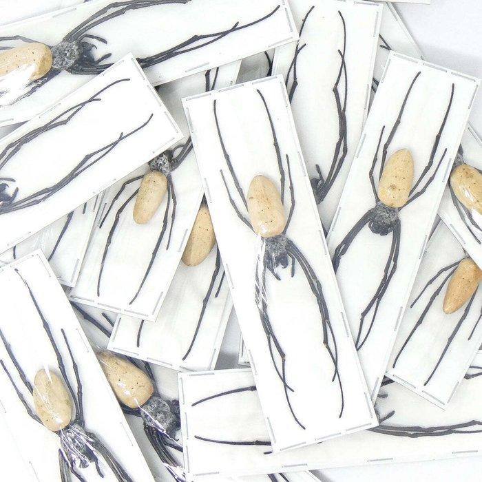 10 orbwebspinnen A1-voorbeelden opgevulde buik Taxidermie, Verzamelen, Dierenverzamelingen