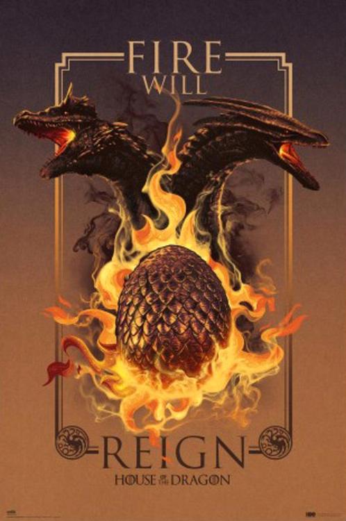 Poster House of the Dragon Fire Will Reign 61x91,5cm, Verzamelen, Posters, Nieuw, A1 t/m A3, Verzenden