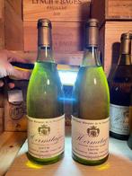 1979 Delas Hermitage Cuvée Marquise de la Tourette -, Verzamelen, Nieuw