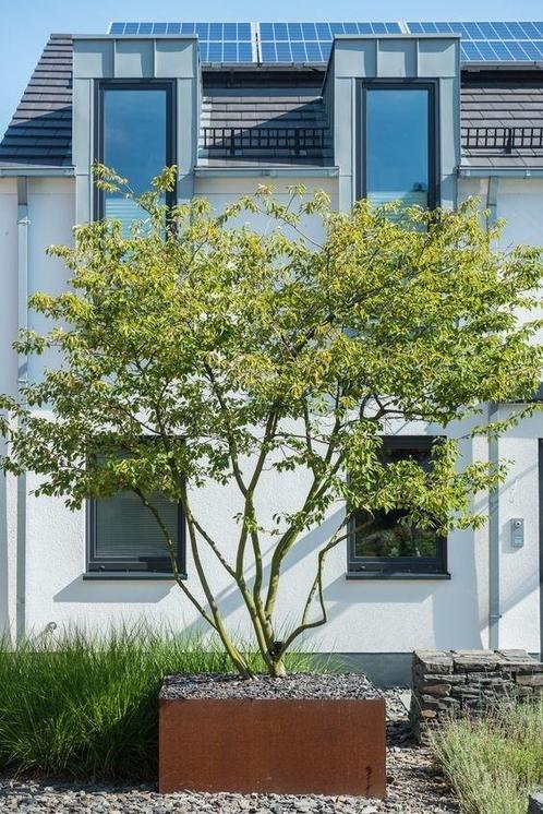Plantenbak Cortenstaal 120x120x80 cm, Tuin en Terras, Bloembakken en Plantenbakken, Nieuw, Verzenden