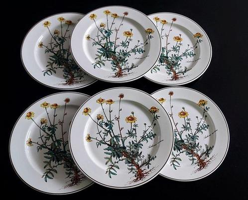 Villeroy & Boch - Schotel (6) - Botanica - Porselein, Antiek en Kunst, Antiek | Meubels | Tafels