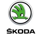 Skoda Coderen Verborgen Opties Aanpassen Uitlezen VCDS VCP, Auto diversen, Tuning en Styling
