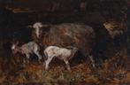 Willem Hendrik van der Nat (1864–1929) - Schaap met twee