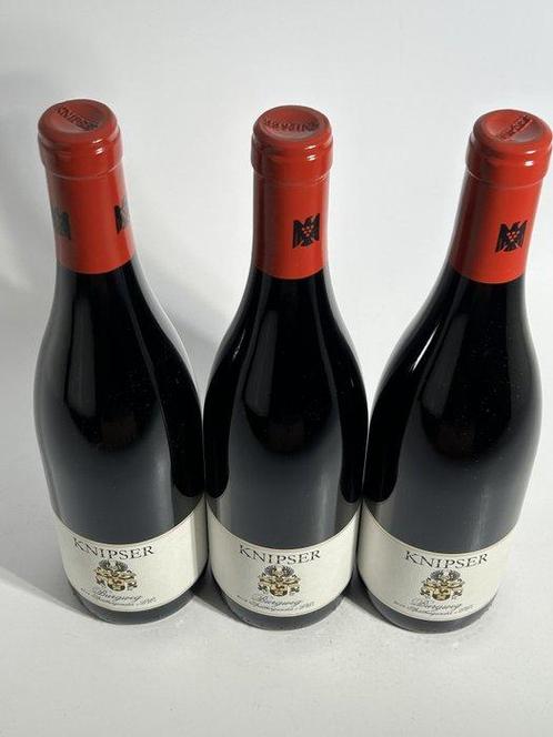 2014 Weingut Knipser, Spätburgunder Burgweg - Pfalz, Verzamelen, Wijnen