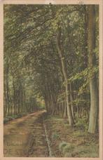 DE STEEG - Groeten uit De Steeg, Verzamelen, Ansichtkaarten | Nederland, Verzenden, Gelopen