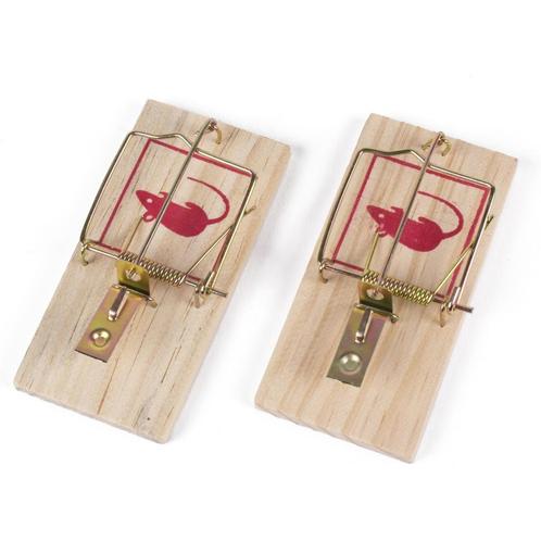Benson Houten muizenvallen - 10 x 5 x 1 cm - Set van 2 -..., Diensten en Vakmensen, Ongediertebestrijding