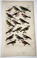 Matthäus Merian (1593-1650) - hand coloured engraving with
