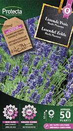 Protecta Kruiden/bloemen zaden: Lavendel Echte | Lavandula, Tuin en Terras, Bloembollen en Zaden, Ophalen of Verzenden
