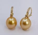 Oorbellen - 14 karaat Geel goud - 0.09ct. tw. - 10x11mm, Sieraden, Tassen en Uiterlijk, Oorbellen, Nieuw