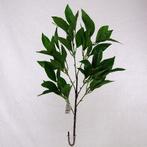 Shikibi Spray Light Groen Zijden tak, Ophalen of Verzenden, Nieuw