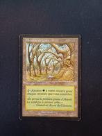 Wizards of The Coast - 1 Card - Magic: The Gathering, Nieuw