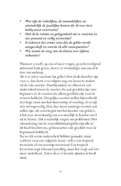 Fascinerende gekkos 9789089540294 C. Hoek, Boeken, Hobby en Vrije tijd, Zo goed als nieuw, Verzenden