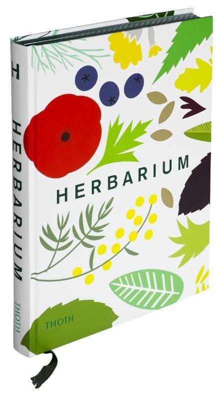 Herbarium 9789068687101 Caz Hildebrand, Boeken, Hobby en Vrije tijd, Zo goed als nieuw, Verzenden
