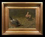 Francisco Pozo Polo (1944) - Deux Colombes