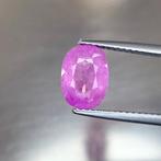 Zonder minimumprijs - 1 pcs Roze Saffier - 2.48 ct -, Nieuw
