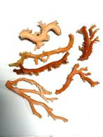 Koraal Koraal - Coral rubrum (Zonder minimumprijs)
