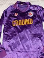 Fiorentina - Italiaanse voetbal competitie - era baggio -, Nieuw